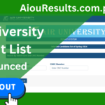 Air University Merit List 2024